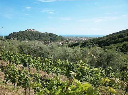 La Sarticola Villa Luni Екстериор снимка